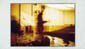 swiece 1998